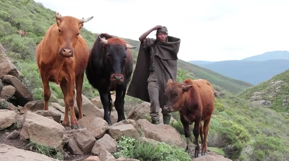 Lesotho, the Kingdom in the Sky